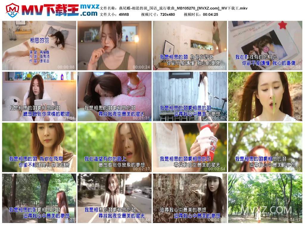 燕尾蝶-相思的羽_国语_流行歌曲_MB105270